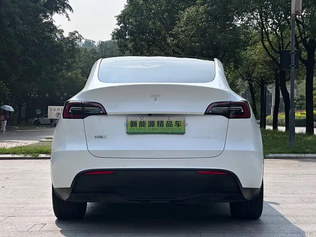 Tesla Model Y — миниатюра 6