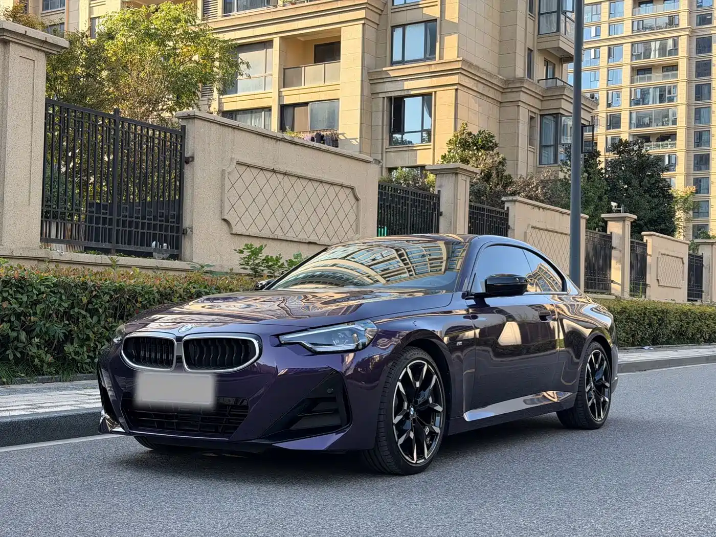 BMW 2 Series (Import)