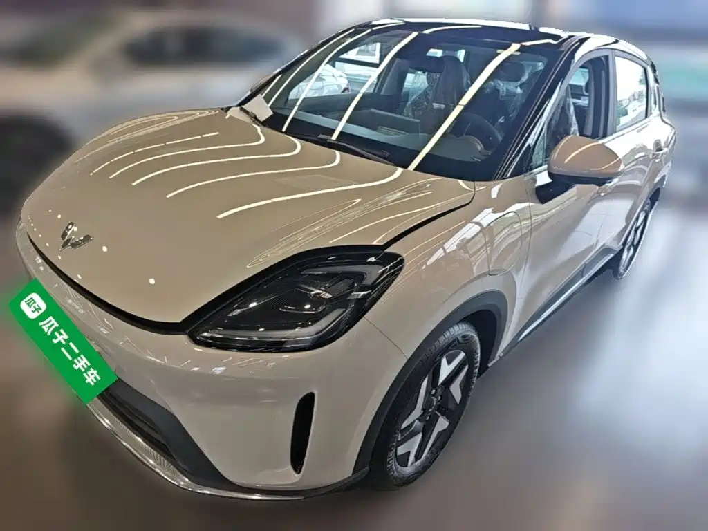 Wuling BinguoS S 2025 325km Flagship
