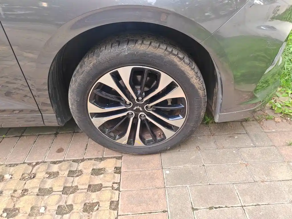 Wuling Victory — миниатюра 25