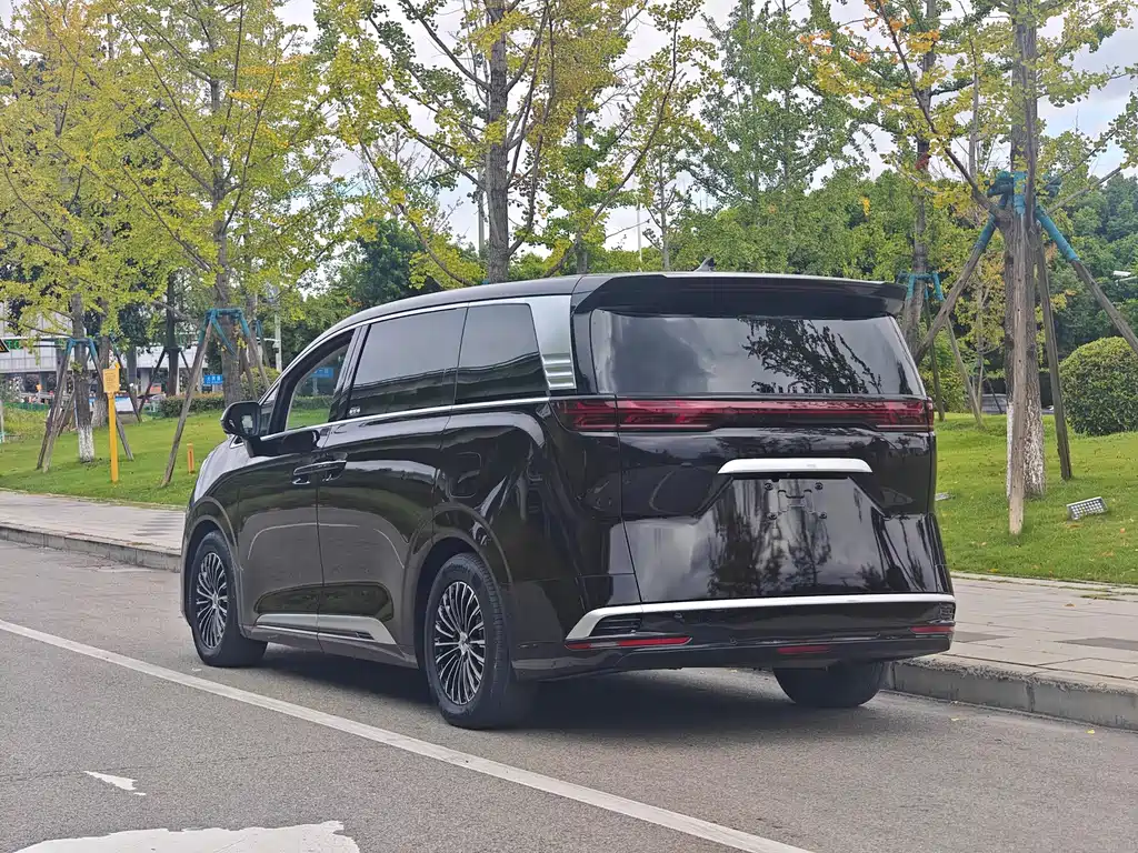 Denza Denza D9 — миниатюра 11