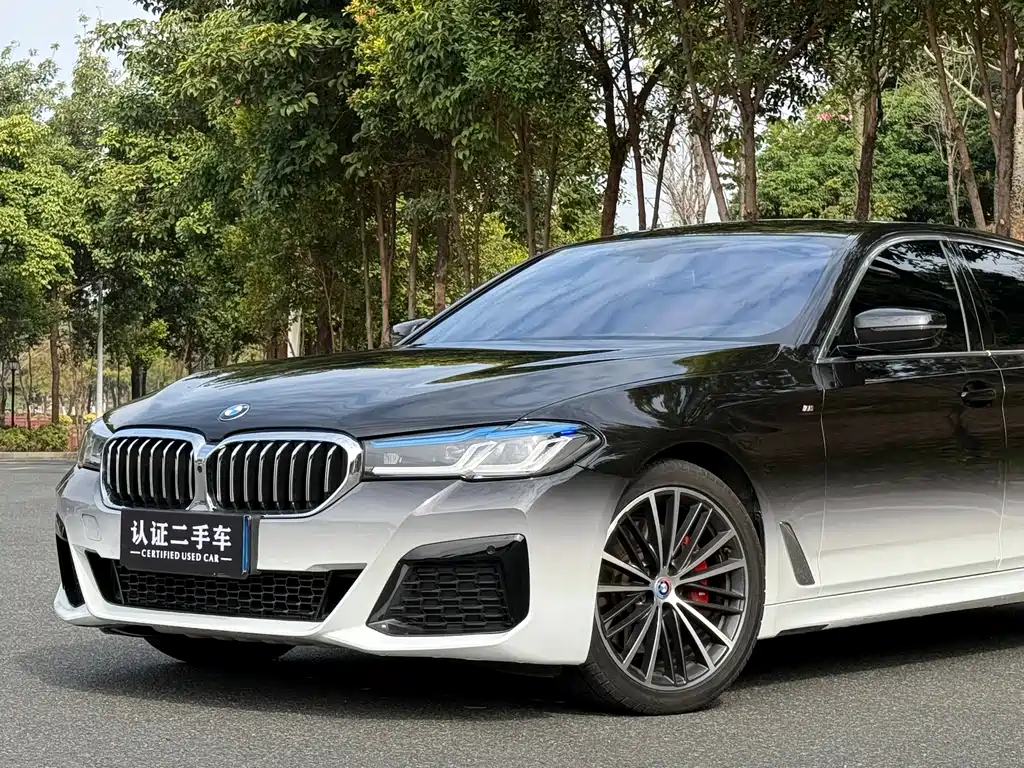 BMW 5 SERIES