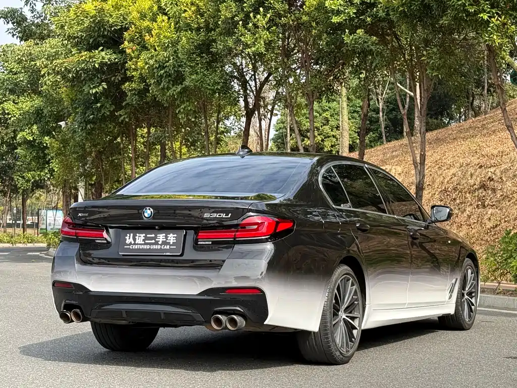 BMW 5 SERIES