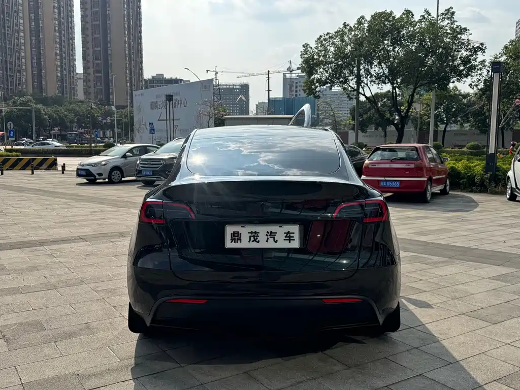Tesla Model Y — миниатюра 4