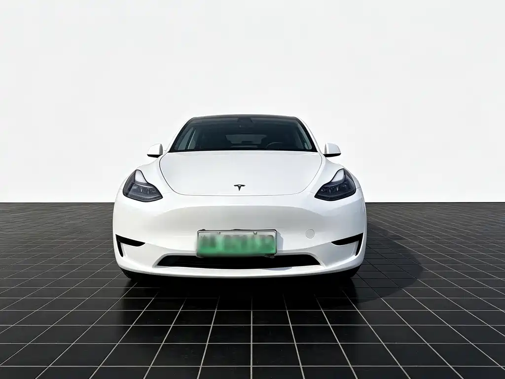 Tesla Model Y — миниатюра 2