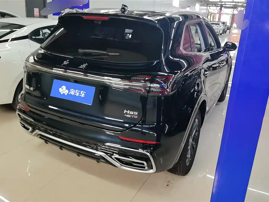 Hongqi HONGQI HS5