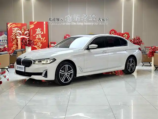 BMW 5 SERIES