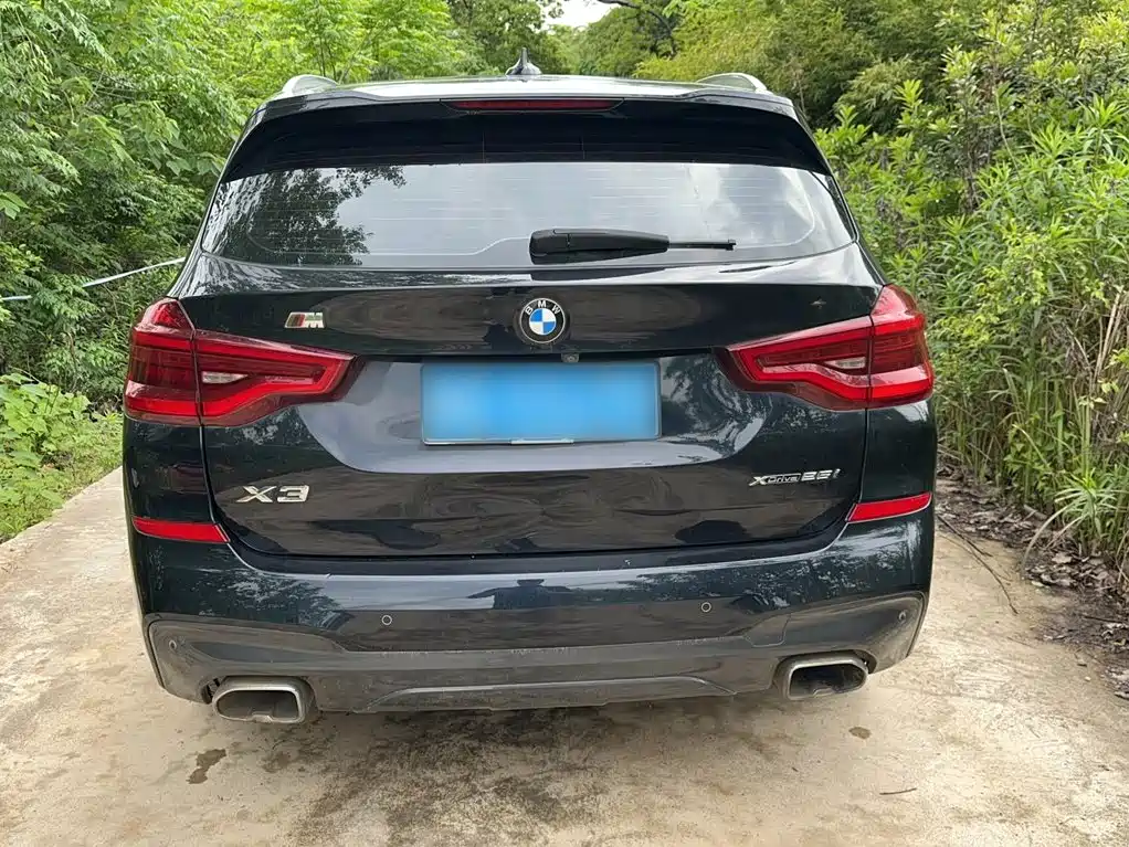 BMW X3 2018 xDrive25i M Sport VI