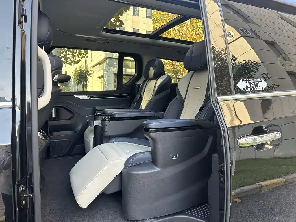 SAIC MAXUS CHASE G20