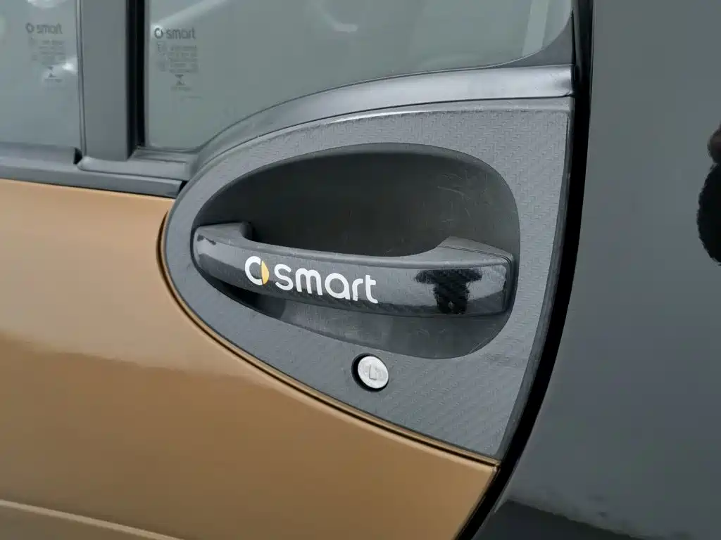 smart Smart Fortwo — миниатюра 18