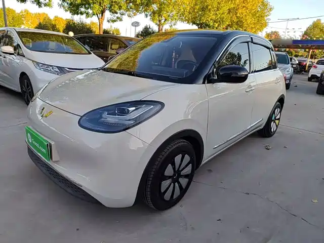 Wuling Bingo