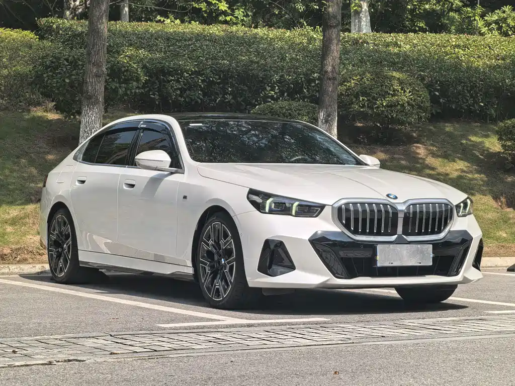 BMW 5 Series — миниатюра 3