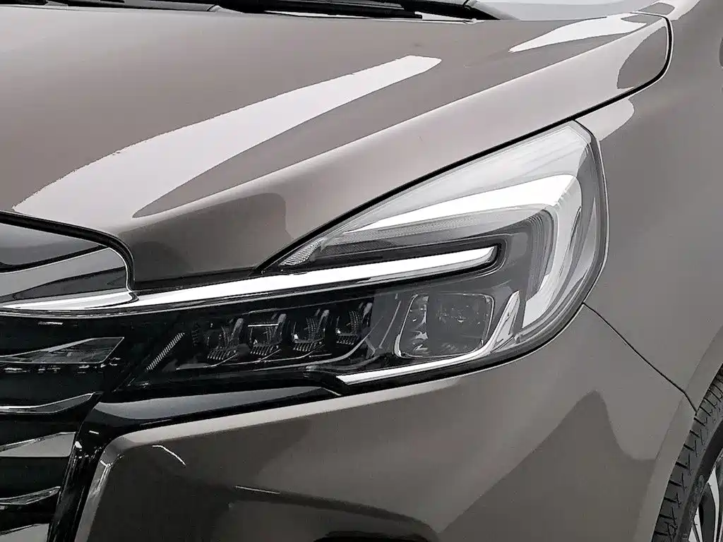 Buick GL8 — миниатюра 7