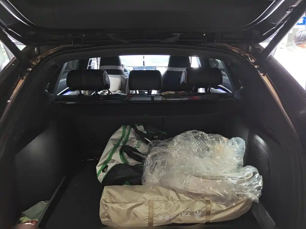 BYD PLUS New Energy — миниатюра 15