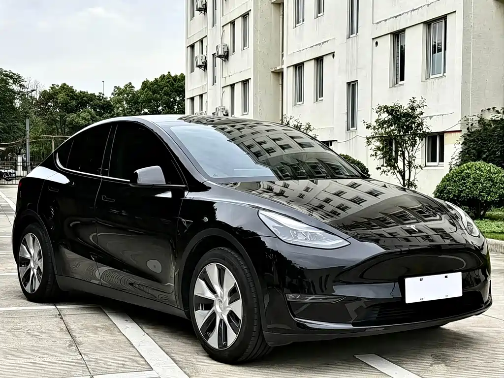 Tesla Model Y — миниатюра 2