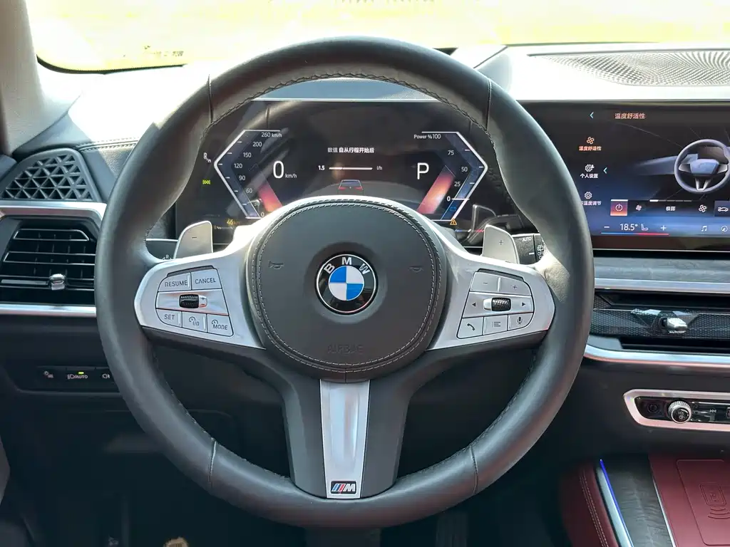 BMW X5 — миниатюра 13