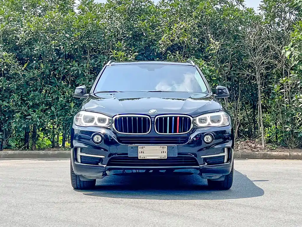 BMW X5 (Import) — миниатюра 2