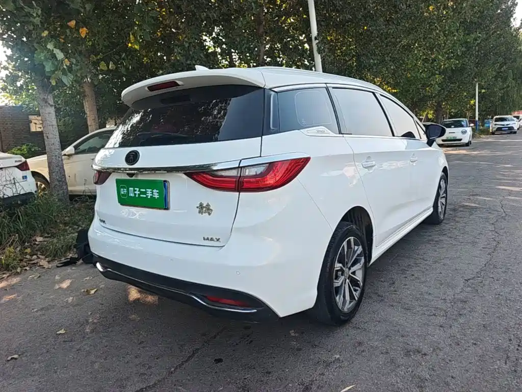 BYD MAX — миниатюра 7