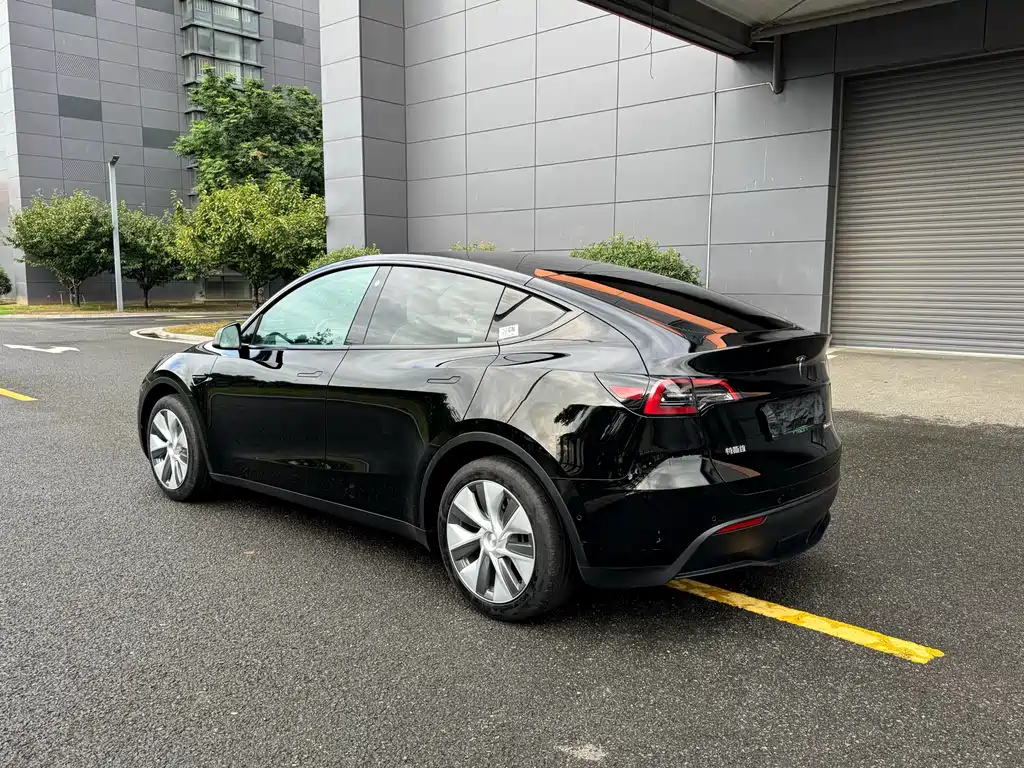 Tesla Model Y — миниатюра 20