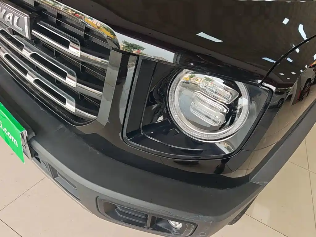 Haval Big Dog — миниатюра 24