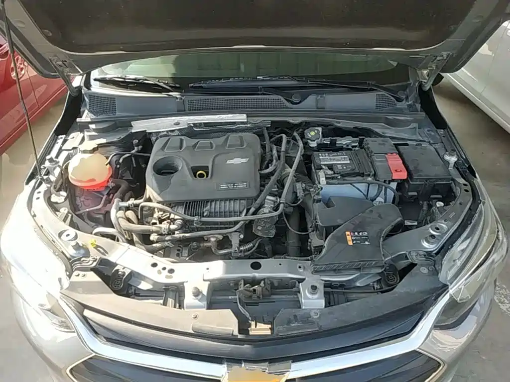 Chevrolet Cavalier — миниатюра 20