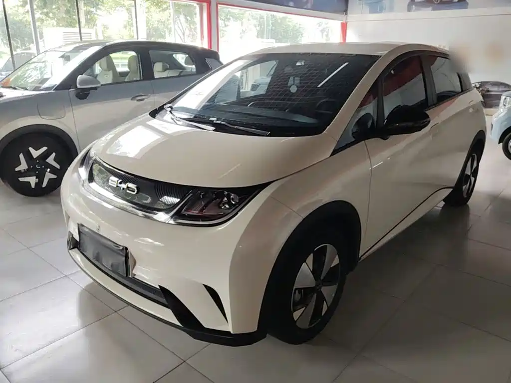 BYD Dolphin — миниатюра 2