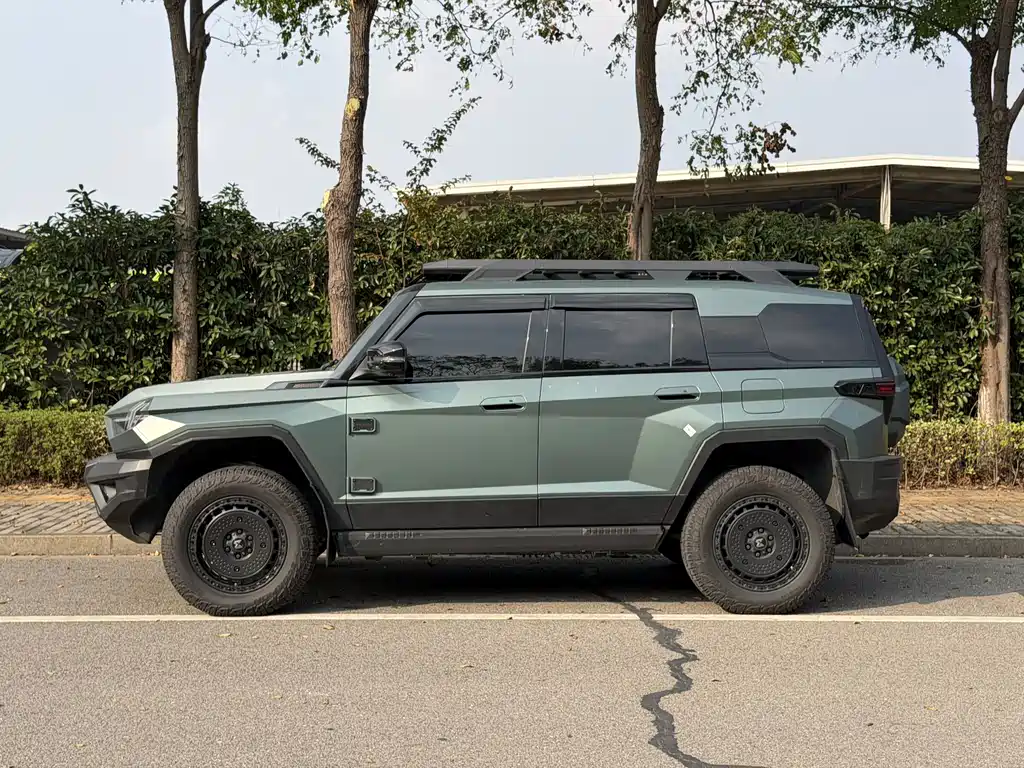 Mengshi Mengshi 917 — миниатюра 9