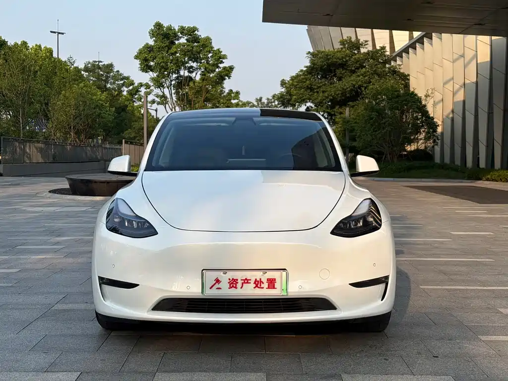 Tesla Model Y — миниатюра 2