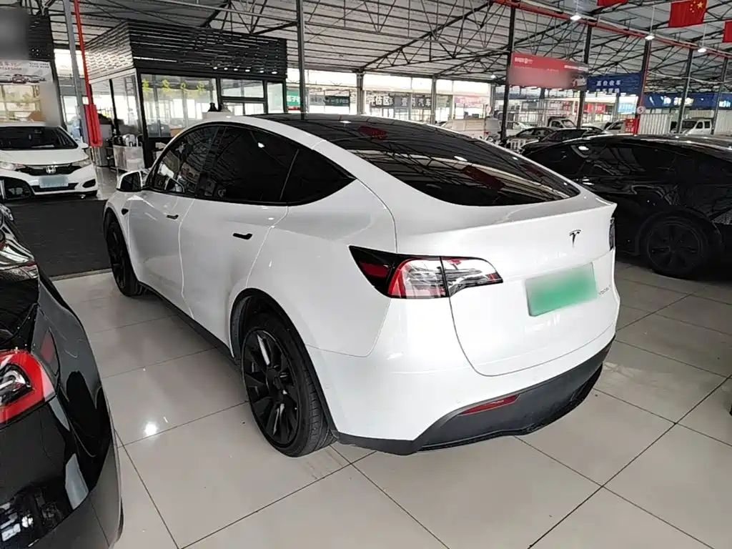 Tesla Model Y — миниатюра 5