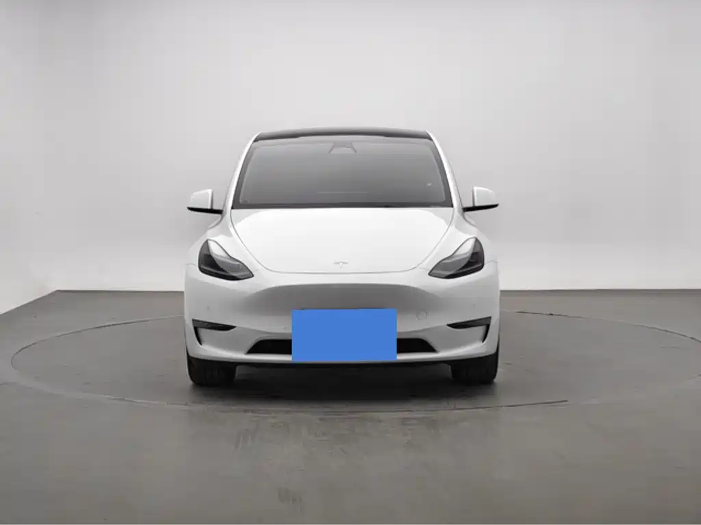 Tesla Model Y — миниатюра 2
