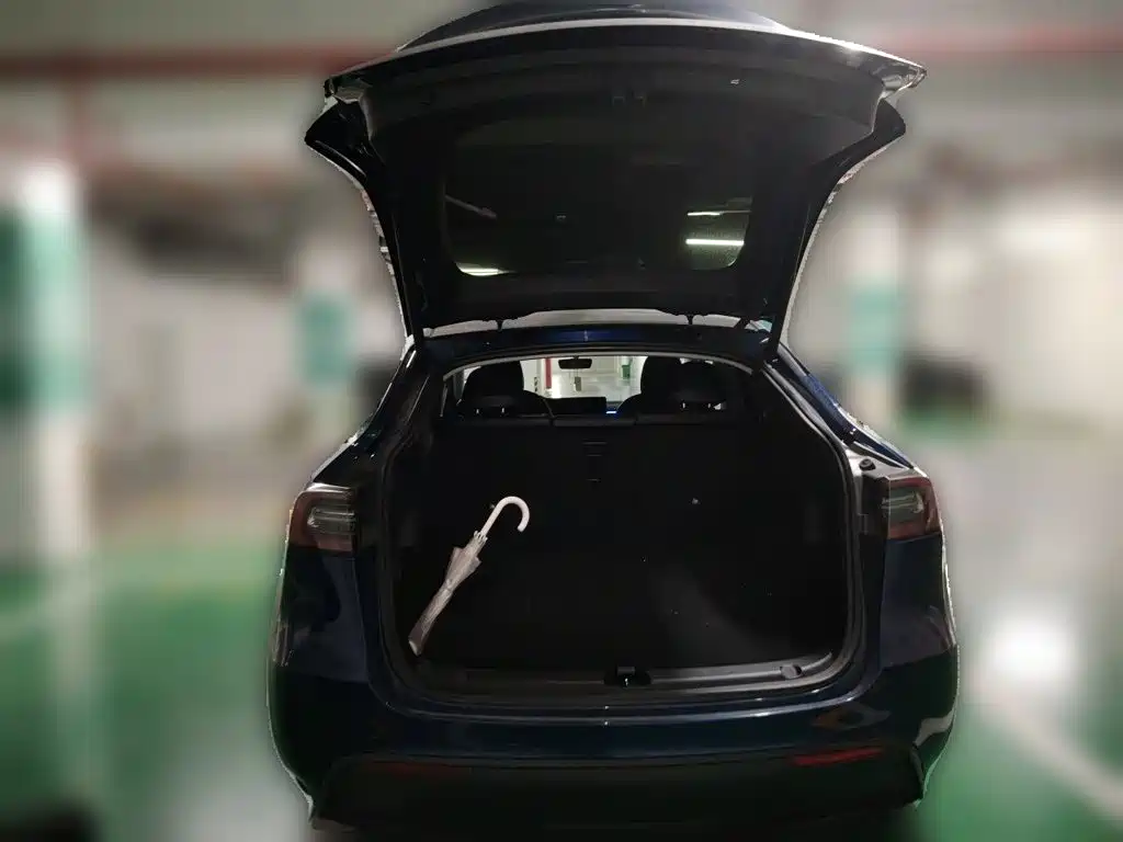 Tesla Model Y — миниатюра 10