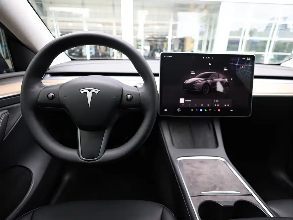Tesla Model Y — миниатюра 16