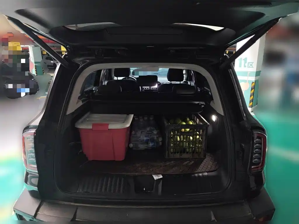 Haval Big Dog — миниатюра 15
