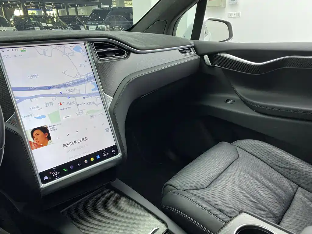 Tesla Model X — миниатюра 26