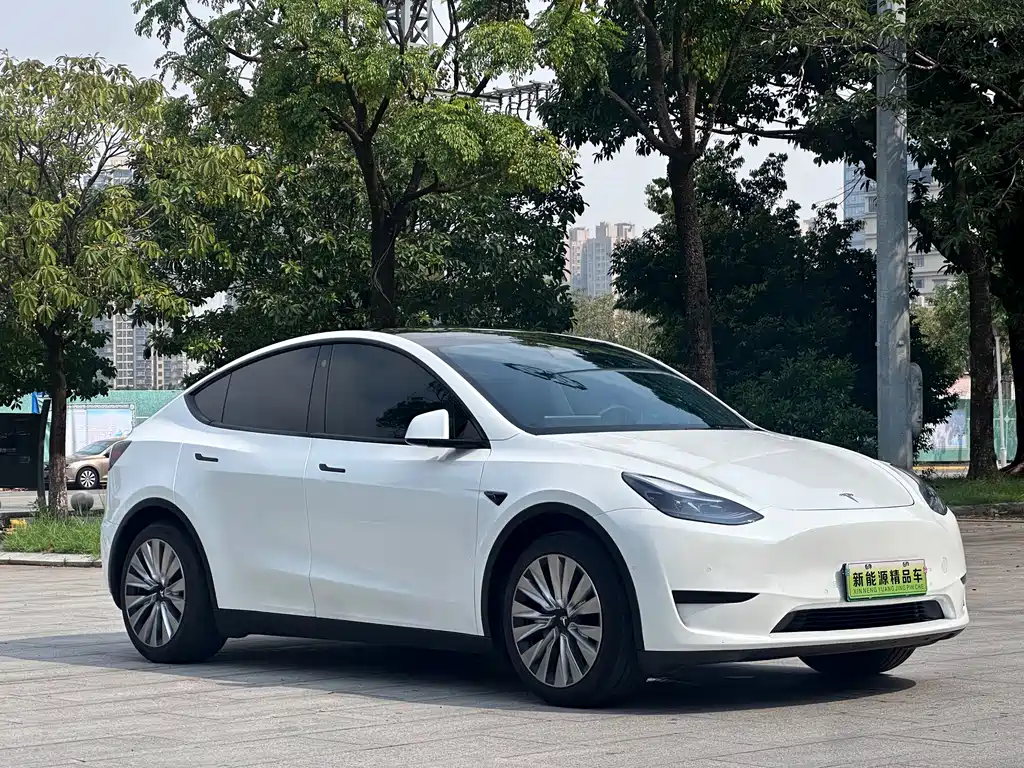 Tesla Model Y — миниатюра 3