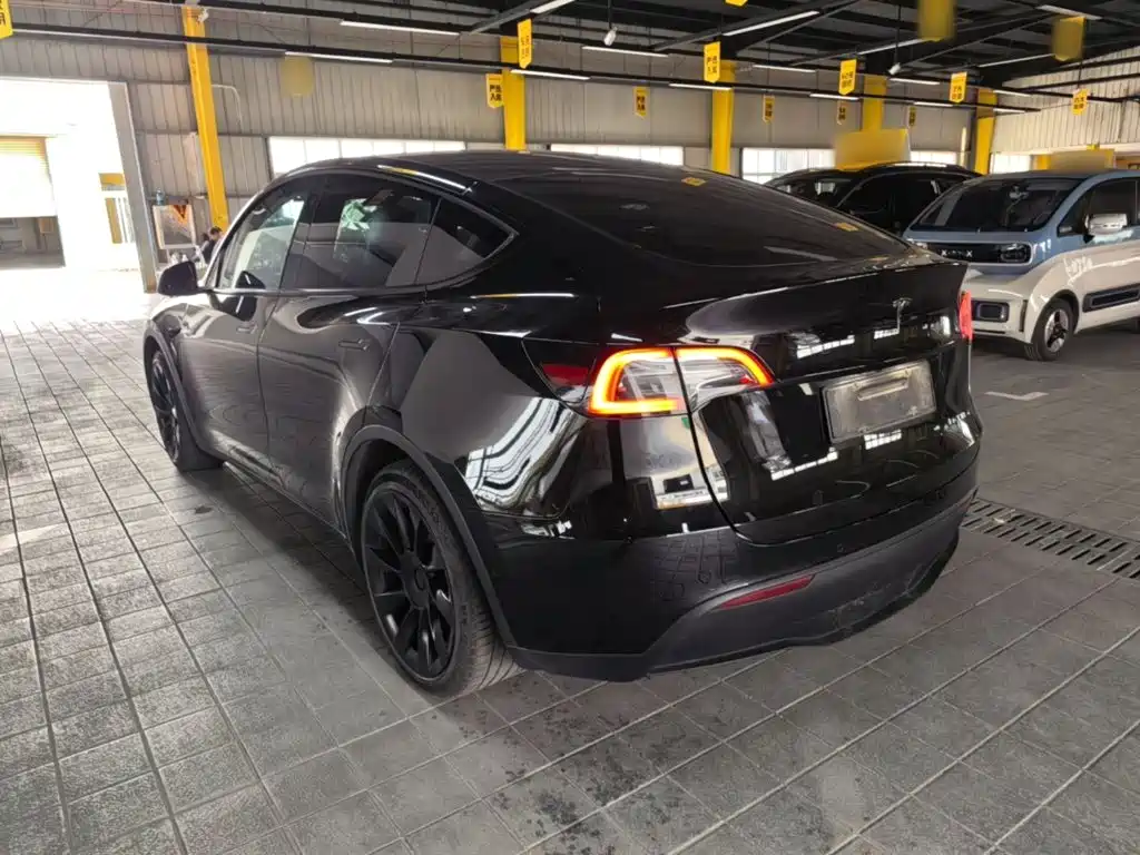 Tesla Model Y — миниатюра 5