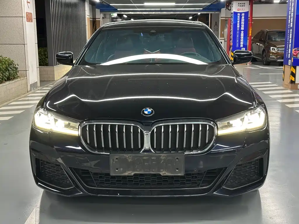 BMW 5 Series New Energy — миниатюра 2