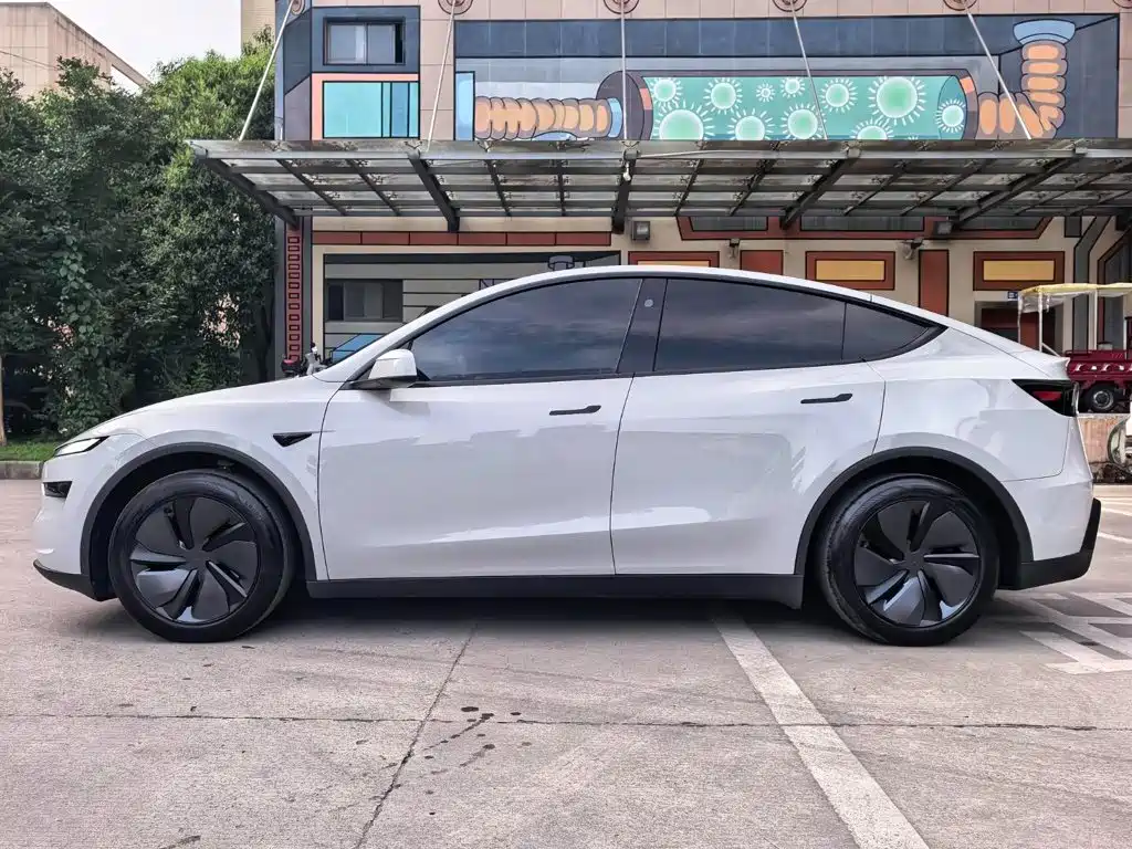 Tesla Model Y — миниатюра 21