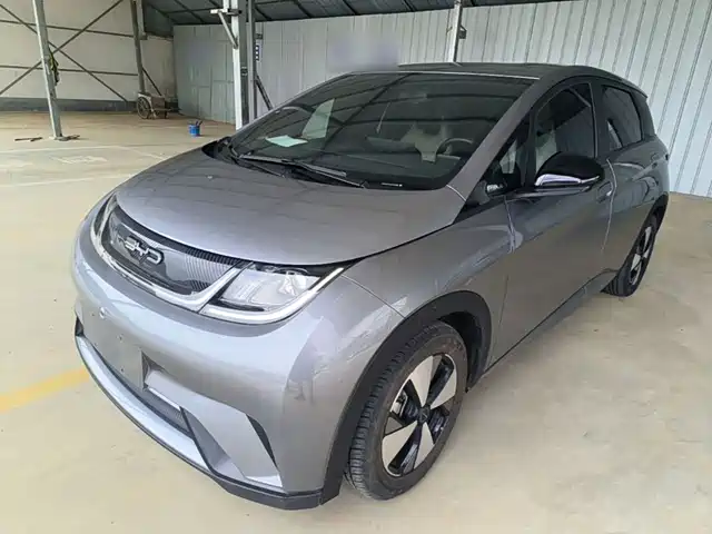 2023 BYD Dolphin