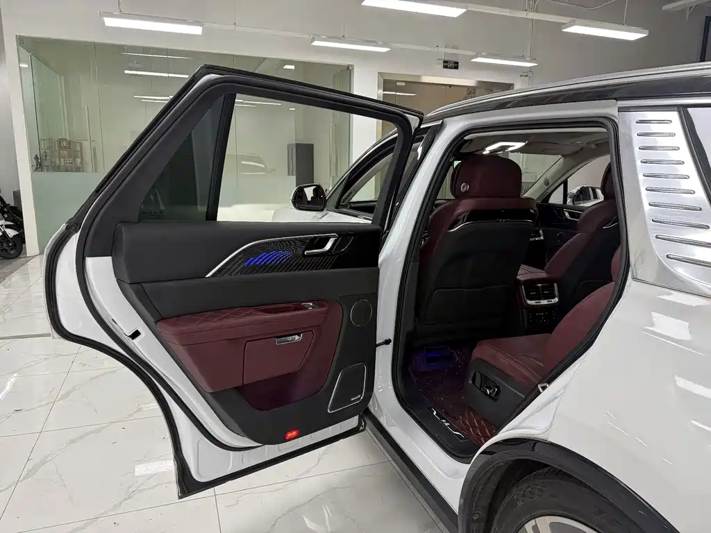 Hongqi Hongqi E-HS9 — миниатюра 13