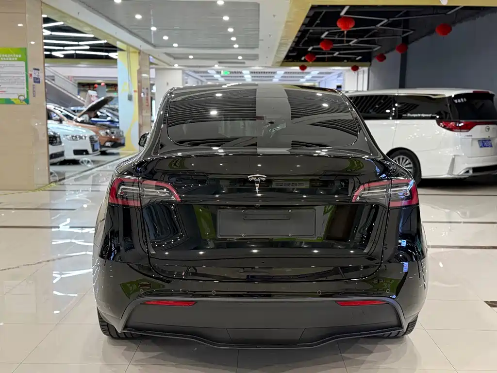 Tesla Model Y — миниатюра 8
