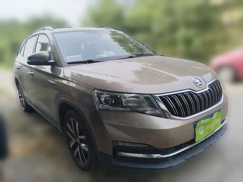 Skoda Kamiq — миниатюра 24