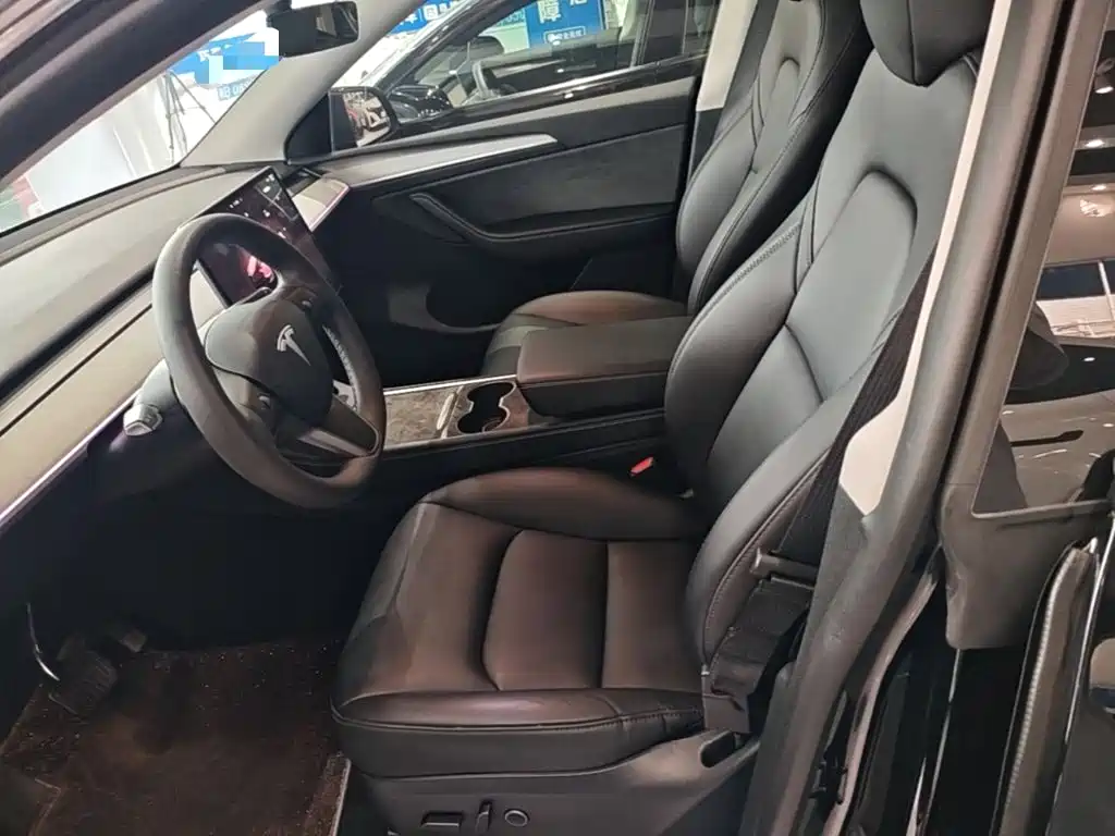 Tesla Model Y — миниатюра 15