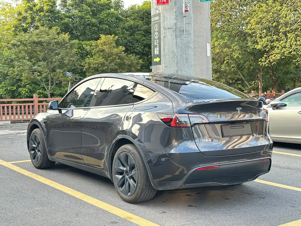 Tesla Model Y — миниатюра 6