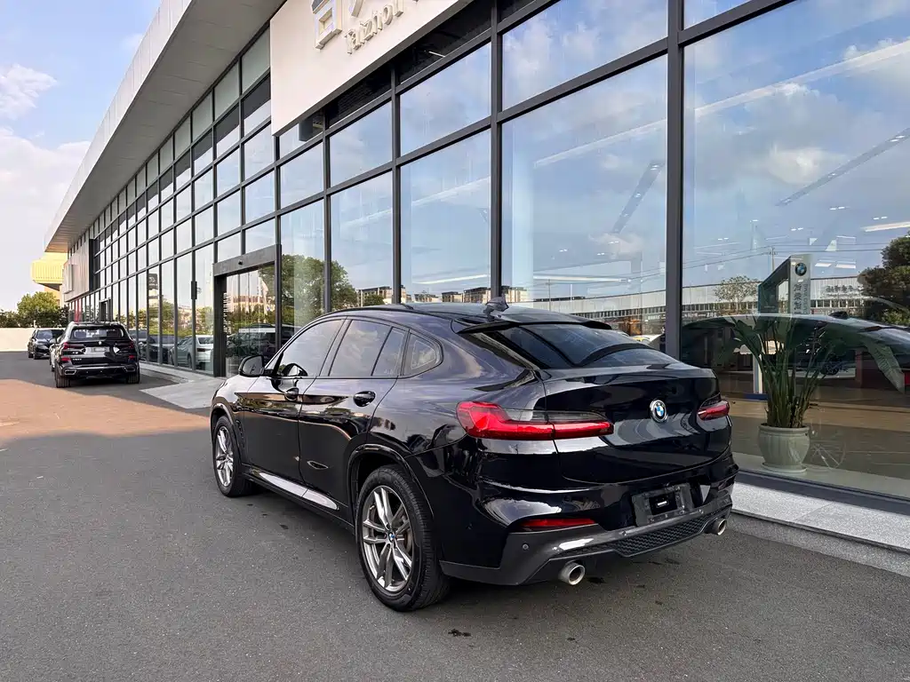 BMW X4 — миниатюра 9