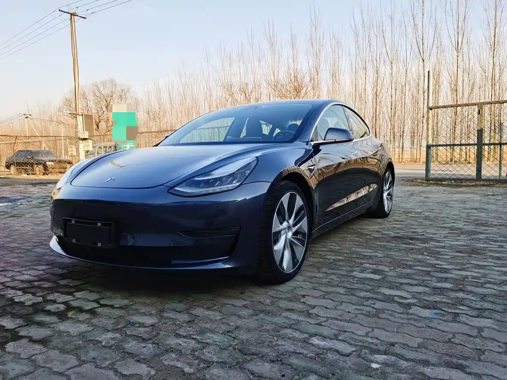 Tesla Model 3 2019