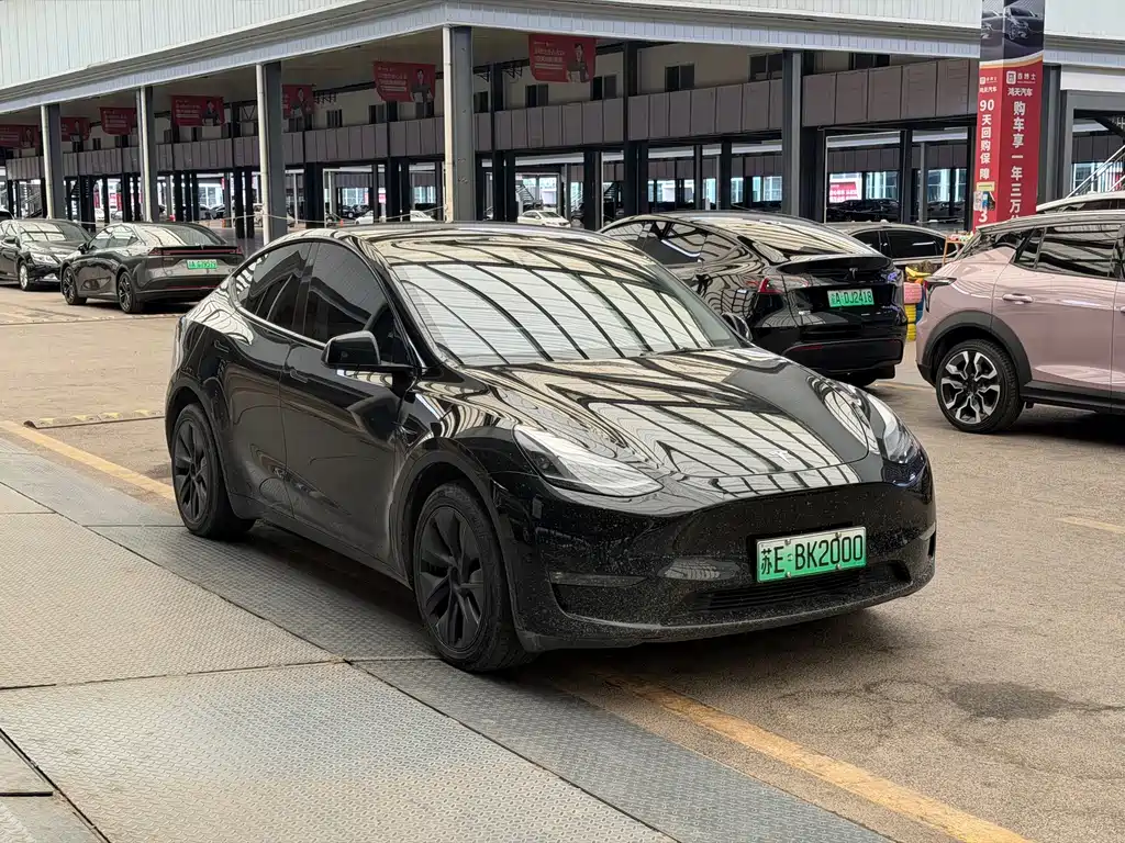 Tesla Model Y — миниатюра 3