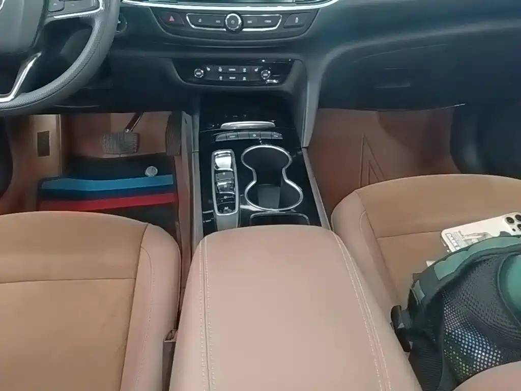 Buick Regal — миниатюра 14
