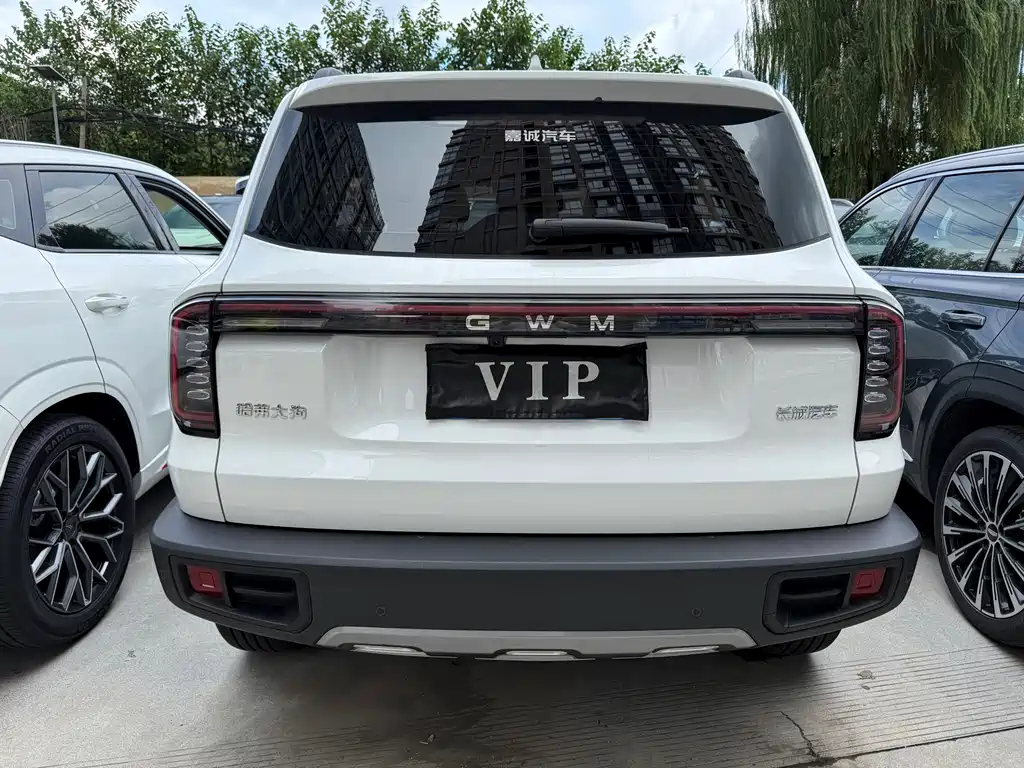 Haval Big Dog — миниатюра 19