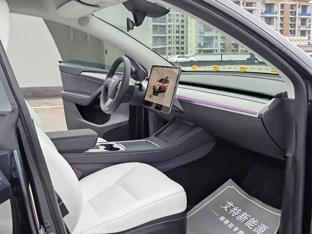 Tesla Model Y — миниатюра 13